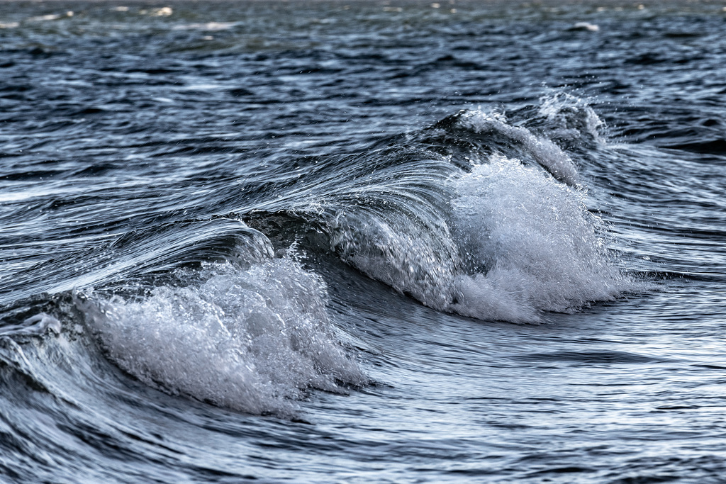 Water - as essential for life as it can be deadly