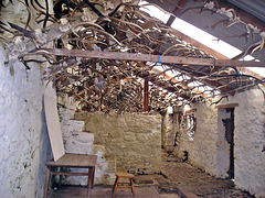 Antler Store, Letterewe House May 2004