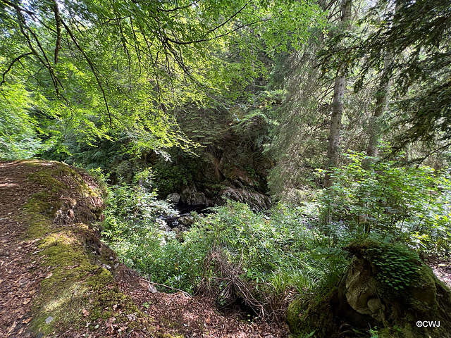 Rocky cliffs edge the Divie along much of its route