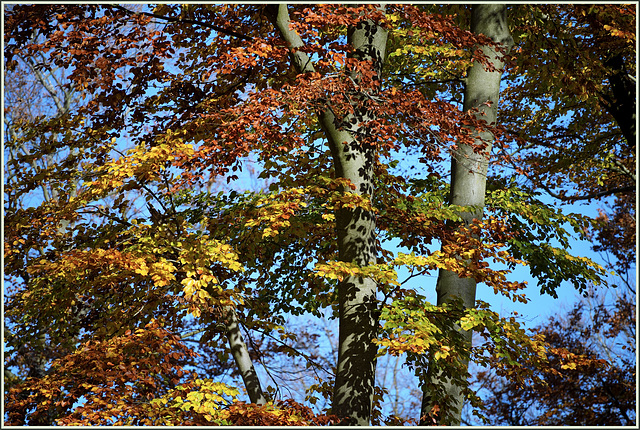 season colors
