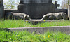 charlton cemetery, london