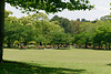 Ecoliers dans le parc