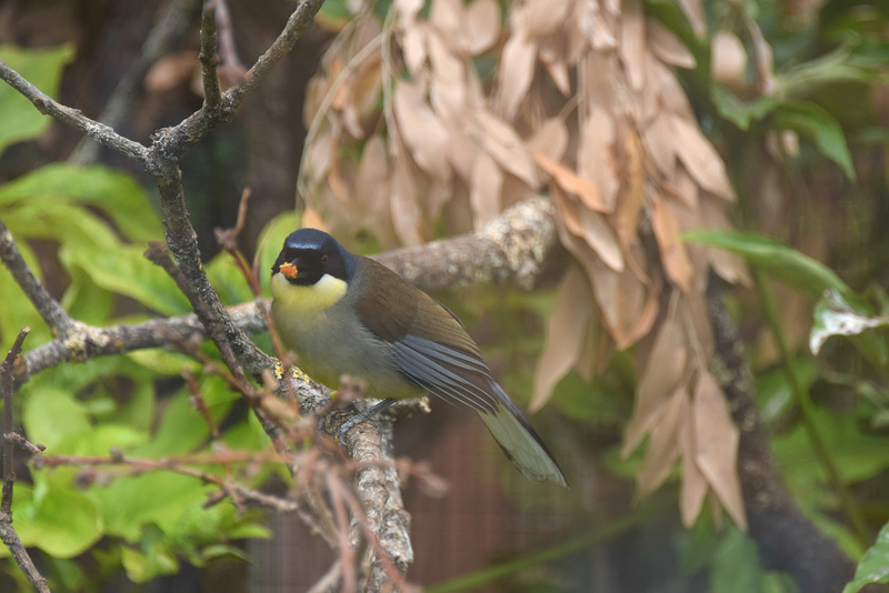 Marwell Zoo (35) - 15 July 2019
