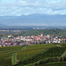 Burkheim und Blick über den Rhein zu den Vogesen