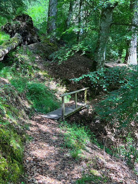 A track of numerous small bridges