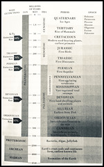 GEOLOGICAL TIMELINE