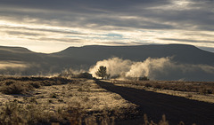 Surprise Valley Hot Springs, CA  (0848)