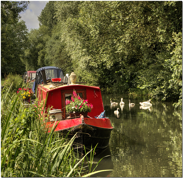 The Kennet near Theale