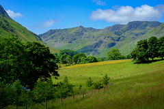 Grisedale