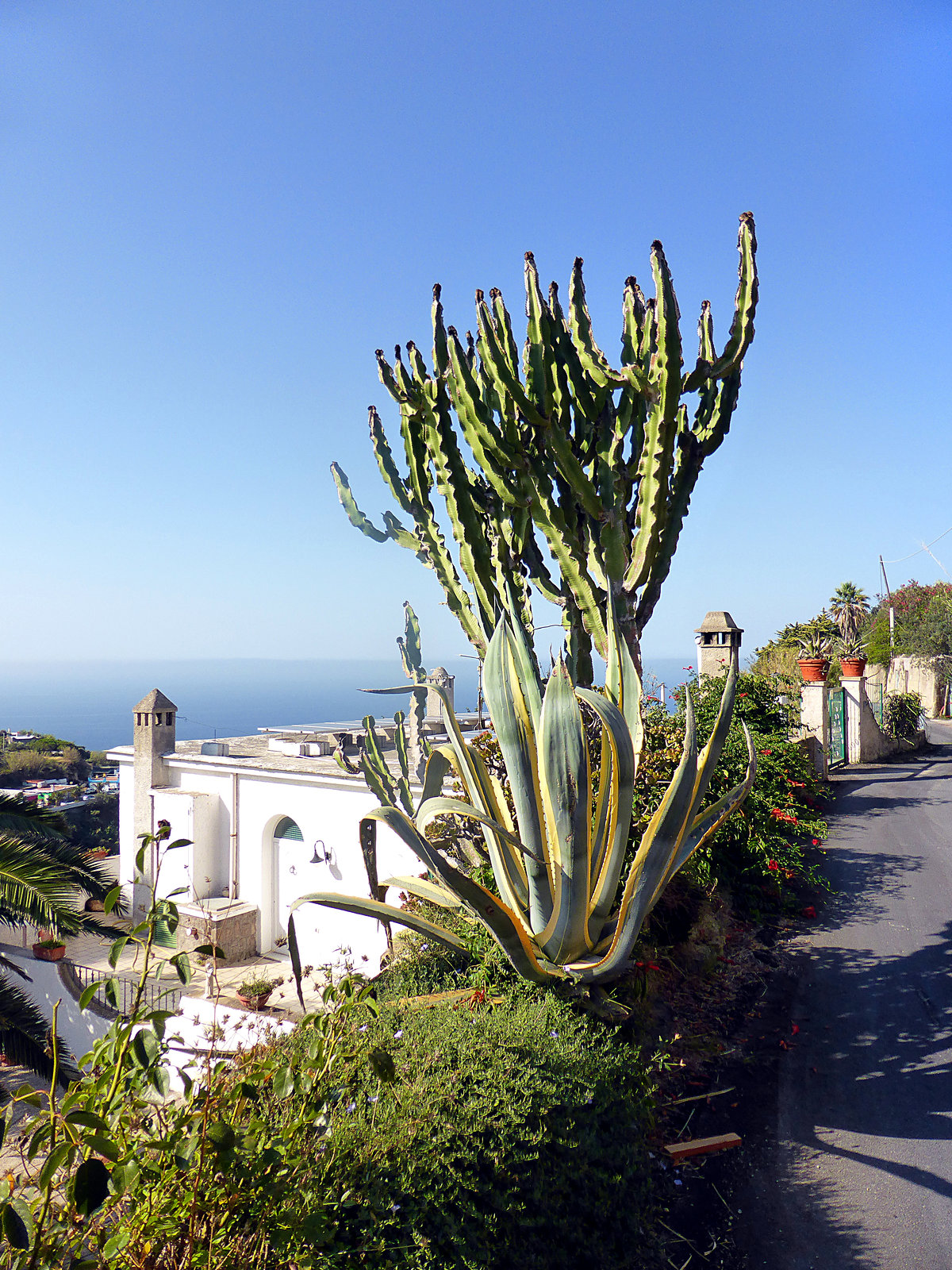 Forio, Ischia
