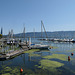Lindau