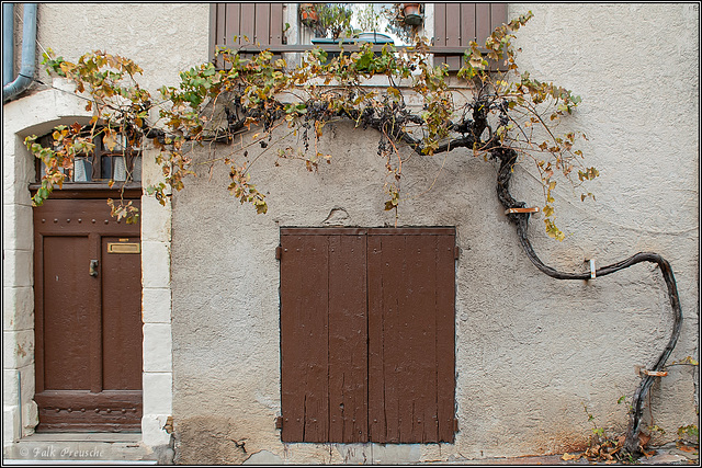 Weinranken an der Fassade