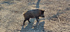 Karlstern animal park