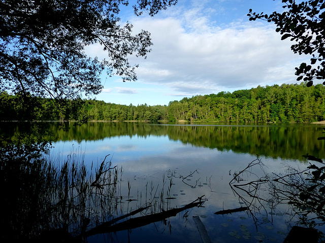 Gesichter der Braunkohle - Donatussee