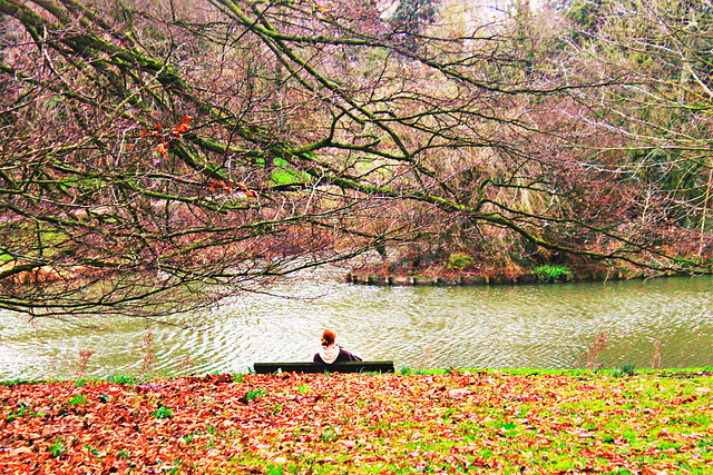 Parc barbieux de Roubaix .