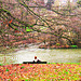 Parc barbieux de Roubaix .