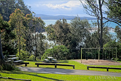 Benches and swings