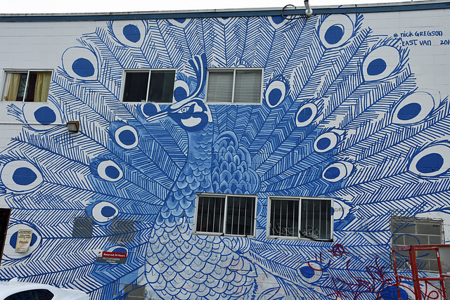 Pfauen-Mural in Vancouver