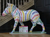 Zany Zebras_290 - 22 August 2016
