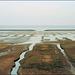 Het  Uithuizerwad