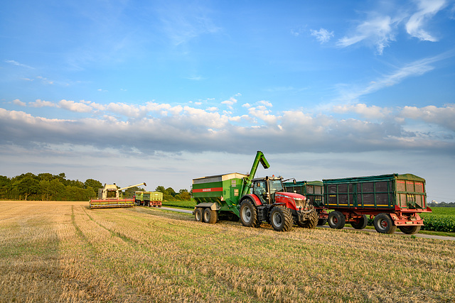 Still harvesting