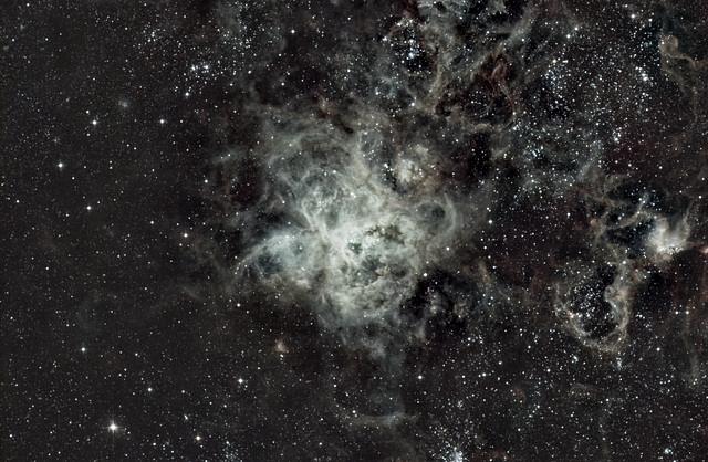 Tarantula NGC 2070