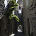 Ruelles de Mirabel.