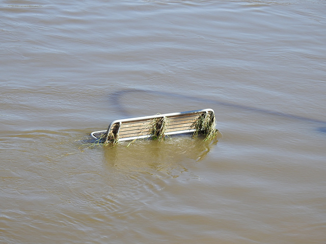 Hochwasser-Bank, Dresden