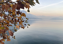 l’isola che non c’è