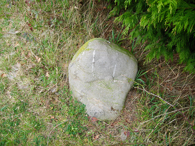 Large boulder near Wrottesley Hall