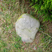 Large boulder near Wrottesley Hall