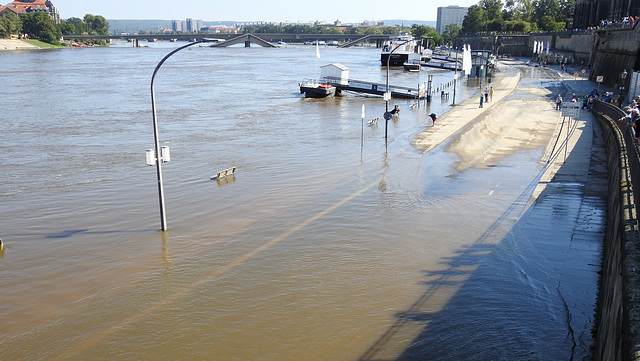 Elbe-Hochwasser in Dresden Elbe-Hochwasser in Dresden