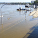 Elbe-Hochwasser in Dresden