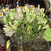 Blumen-Arrangement