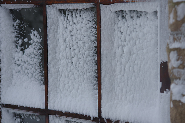 Front door snow