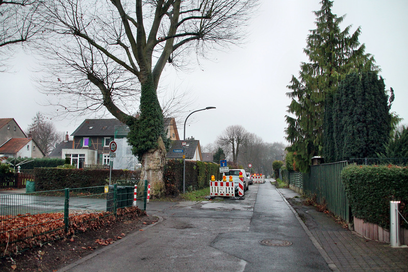 Ossenkuhle (Kolonie Hannover, Wattenscheid-Günnigfeld) / 18.12.2021