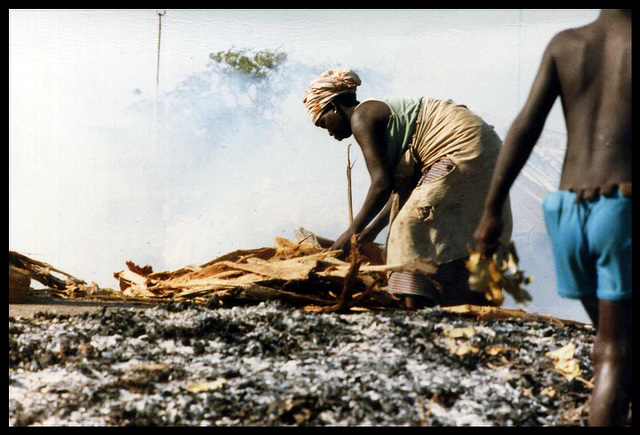 Senegal, 1986
