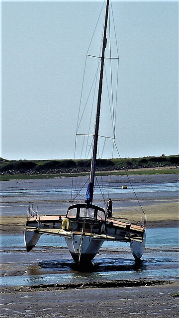 This trimaran managed to balance itself on the mud