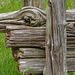 Day 3, old fence, DeLaurier Homestead, Pt Pelee