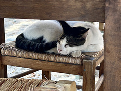 Do not disturb!