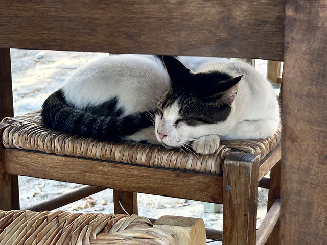 Do not disturb!