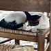 Do not disturb!