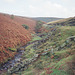 Goyt's Clough and the River Goyt (scan from 1990)