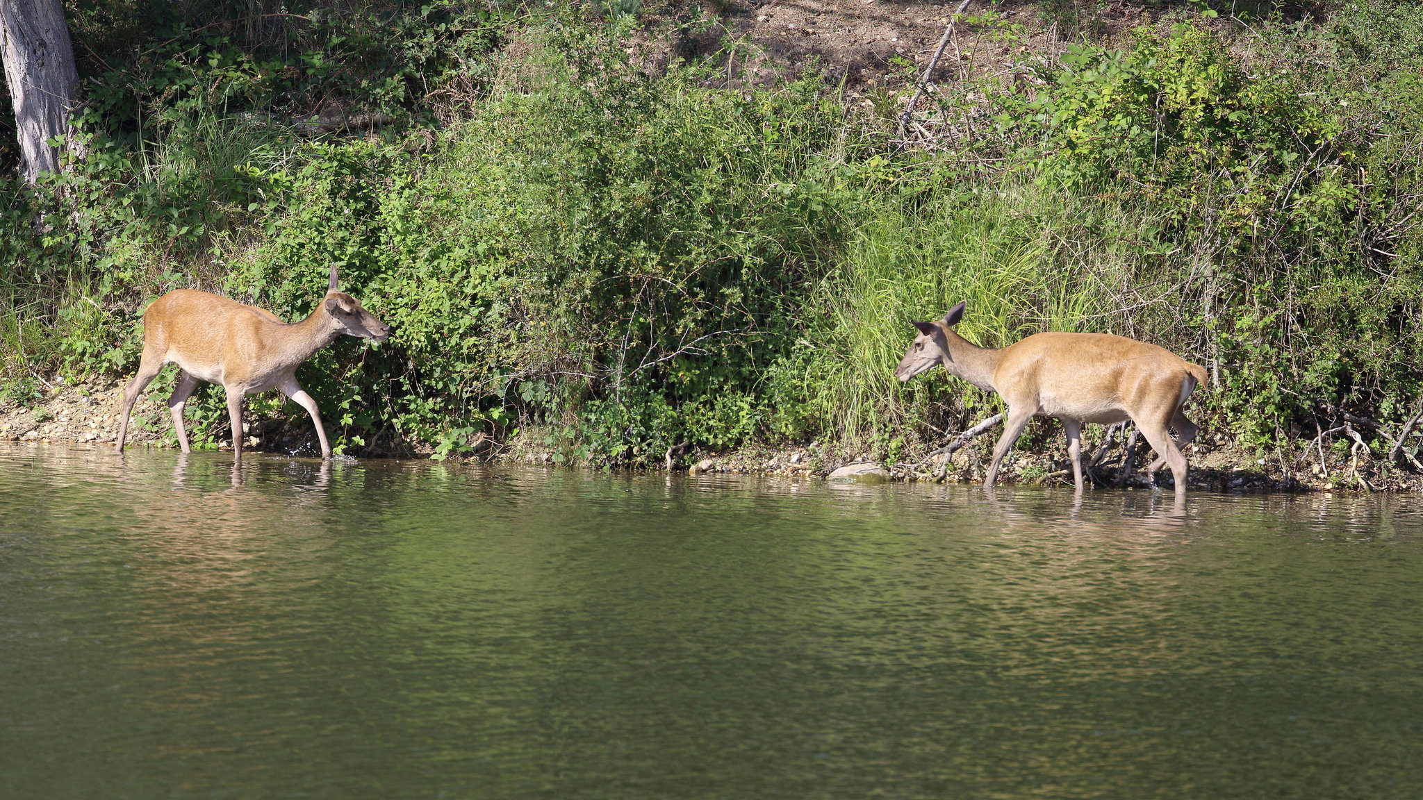 Rencontre