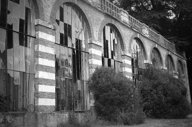 Vestiges de l'orangerie du Palais Briau