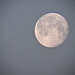 Der Mond um 8Uhr40