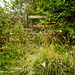 Grass and a Fence Near Fieldways