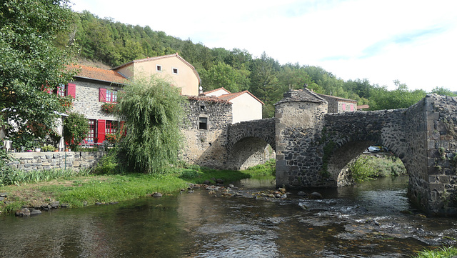 Saurier en Auvergne