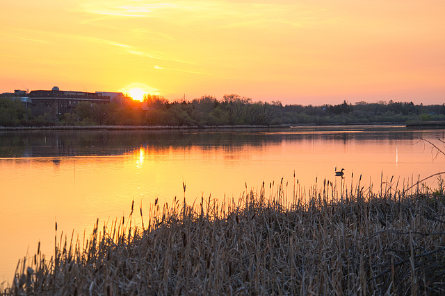 sunrise - Science Centre 2