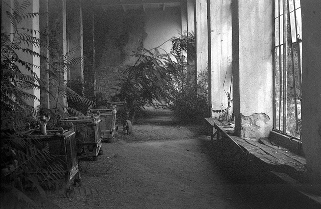 Vestiges de l'orangerie du Palais Briau